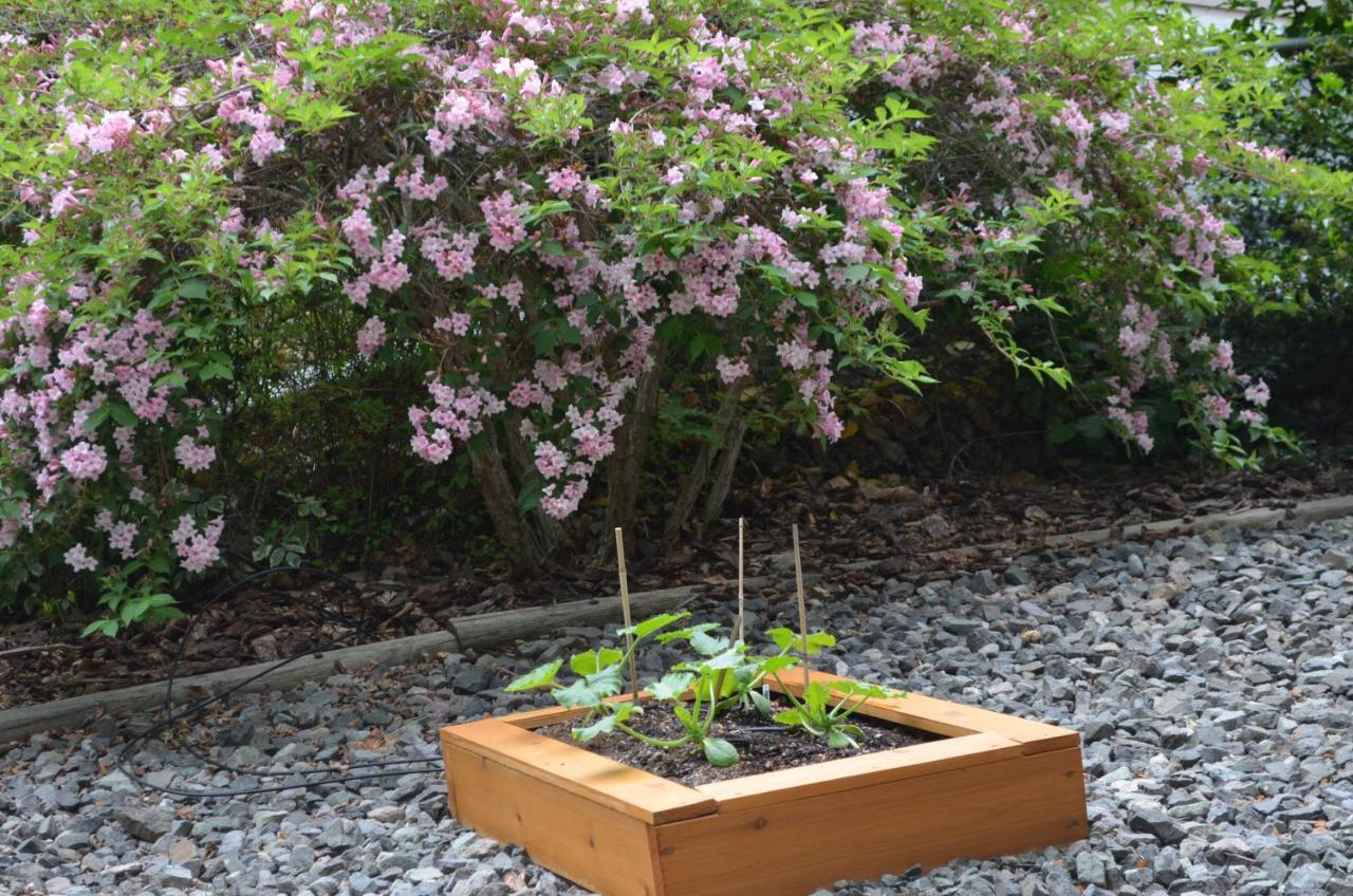 Dogwood Bed & Breakfast 서머랜드 외부 사진